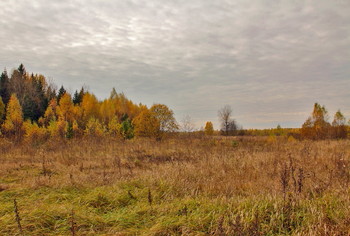Autumn / ***