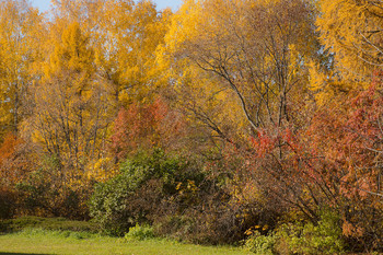 The palette of autumn / ***