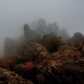 The smell of autumn / ***