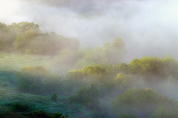 There, behind the mist ... / ***