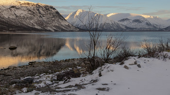 In order of size / ***