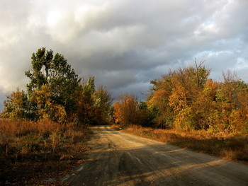 Autumn road / ***