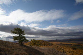 all the colors of autumn / ***