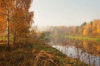 Morning on the river / ***