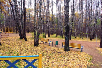 all the colors of autumn / ***