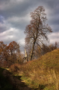 all the colors of autumn / ***