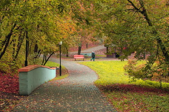 all the colors of autumn / ***