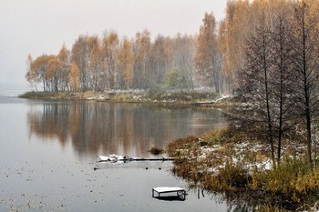 all the colors of autumn / ***