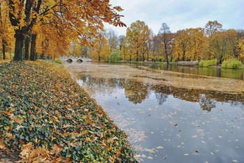 all the colors of autumn / ***