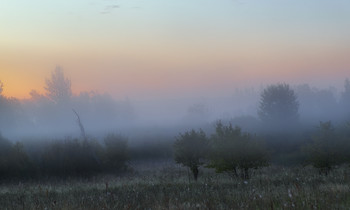 Pre-dawn mist / ***