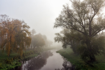 Foggy morning / ***