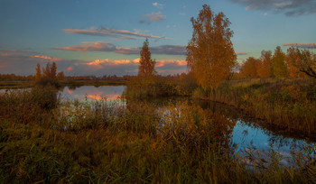 autumn / ***