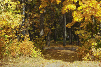 Old Park / ***