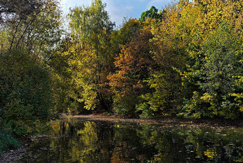 Autumn in the city / ***