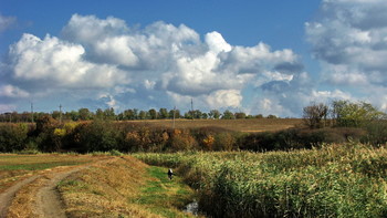 Rural landscape / ***