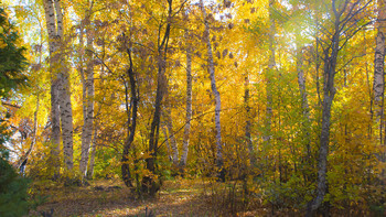 Warm October / ***