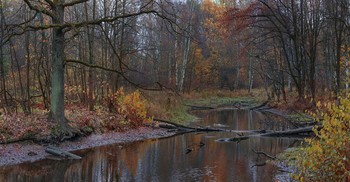 October has come ... / ***