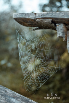 Web / https://www.instagram.com/vaguro_v_u_v/
https://web.facebook.com/evgeniy.vagouro
https://vk.com/e.vaguro