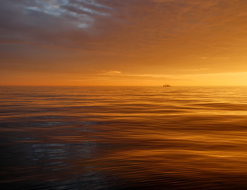 On the edge / ***
