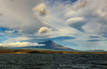 Heaven / ***