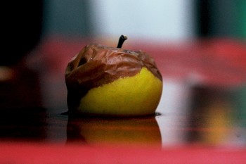 a rotten apple / coloured apple but o a degradation process-a symbol for life and death