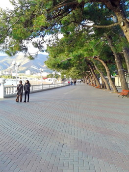 Green corridor / ***