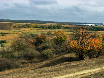 Warm autumn / ***