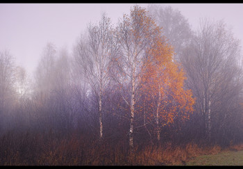 Autumn mists / ...