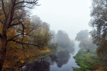 Misty autumn / ***