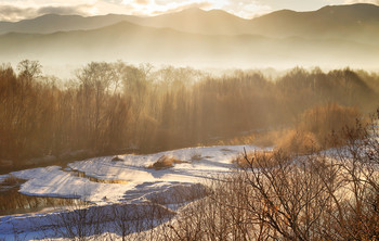 morning rays / ***