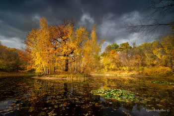 Autumn in Sokolniki / ***
