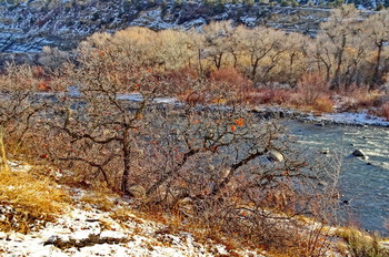&nbsp; / Animas River, Durango, city, Colorado, USA