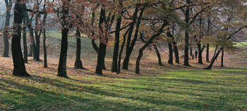 Autumn walk ... / ***