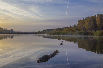 Morning landscape / ***