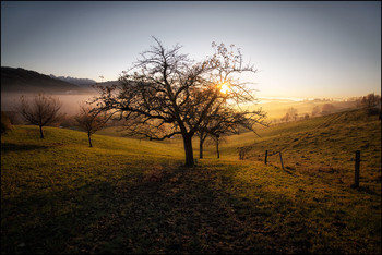 Nebelzeit / Herbst