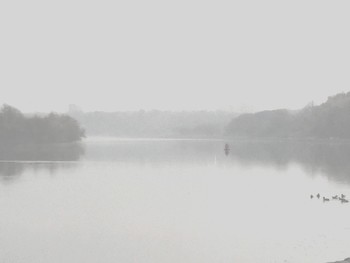 Fog dissipates / ***