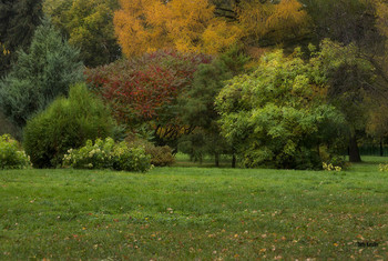 colors of autumn / ***