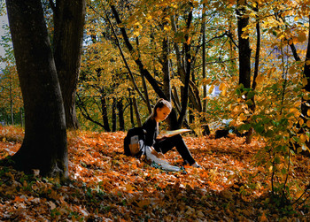*Autumn sketch** / ***