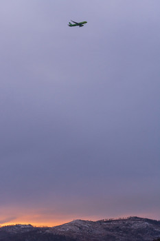 Flight / ***