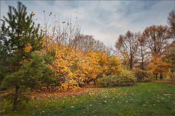 the contrasts of autumn / ***