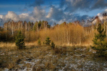 Autumn afternoon. / ***