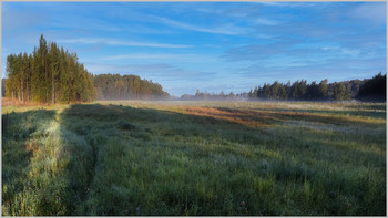 Fog dissipates / ***