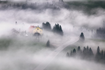 In the embrace of the fog / ***