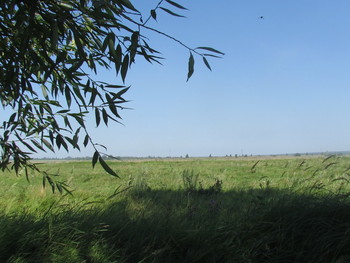 Village history / ***