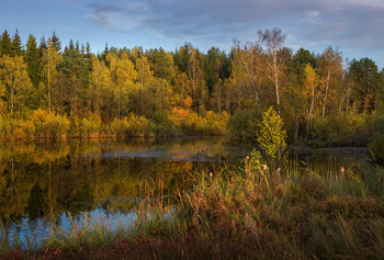 In the last rays / ***