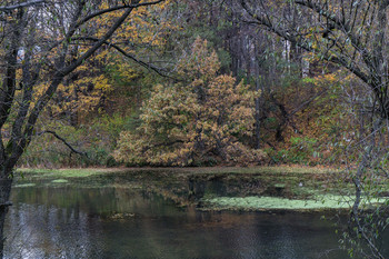 lonely autumn / ***