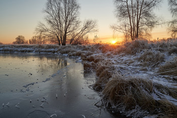 Frosty morning. / ***