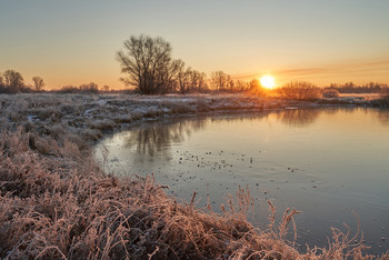 Frosty morning. / ***