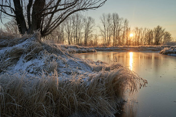 Frosty morning. / ***