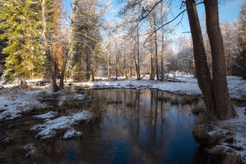 First snow / ***